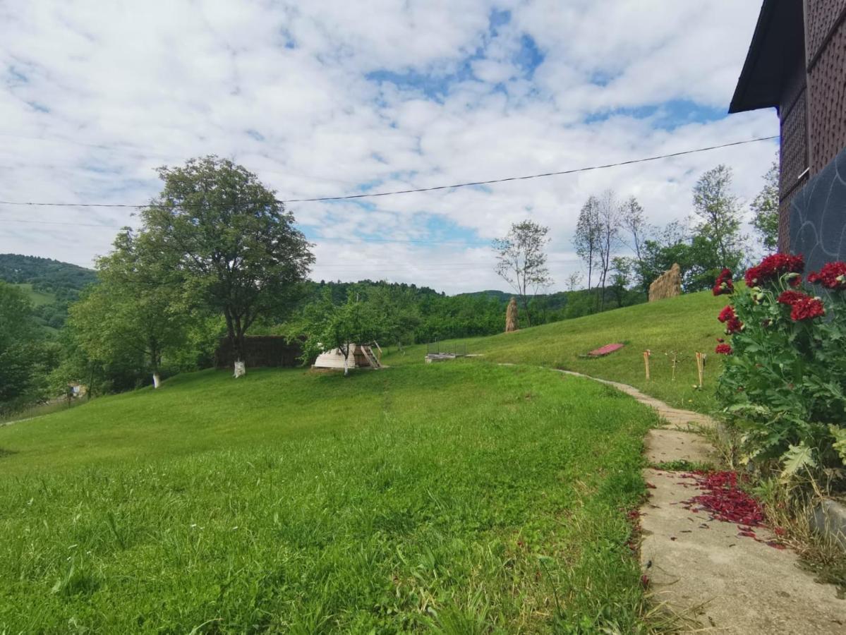 Cabana Hatere Moisei Exteriör bild