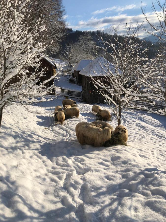 Cabana Hatere Moisei Exteriör bild